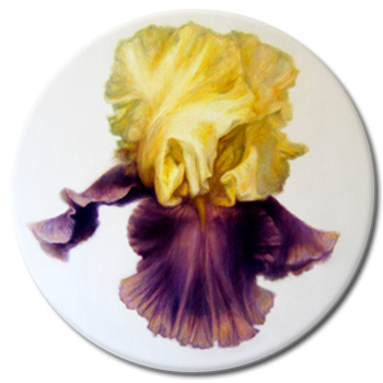 �W���[�}���A�C���X#2