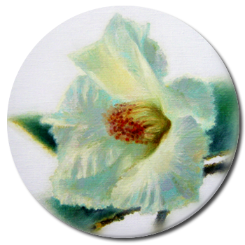 �����o��