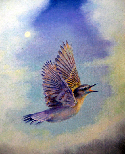 �S�𕂗V���钹